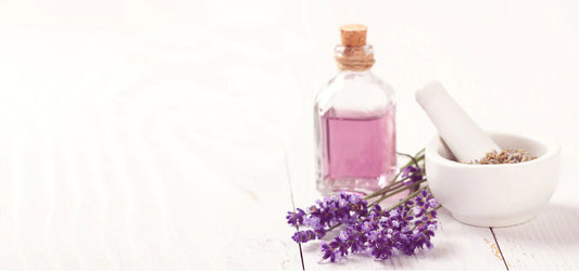The Best Fragrances For Winter
